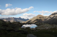 Pillole di natura: Un corridoio tra i Parchi